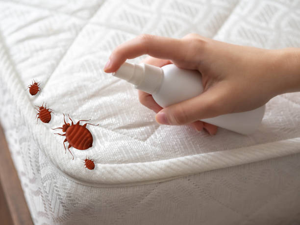 Best Residential Pest Control  in Goldens Bridge, NY